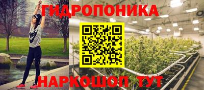 индика Можайск