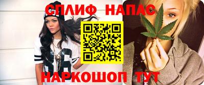 индика Можайск