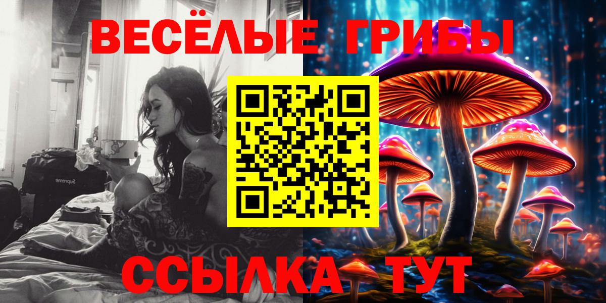 Галлюциногенные грибы мухоморы Гай